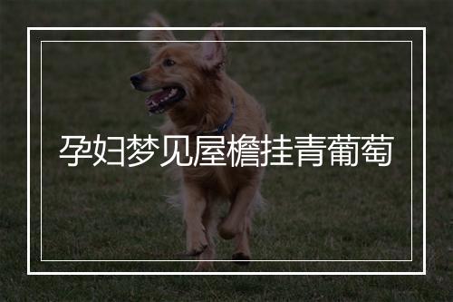 孕妇梦见屋檐挂青葡萄