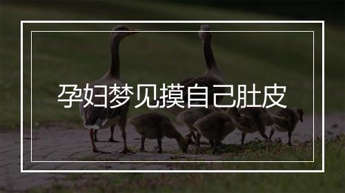 孕妇梦见摸自己肚皮