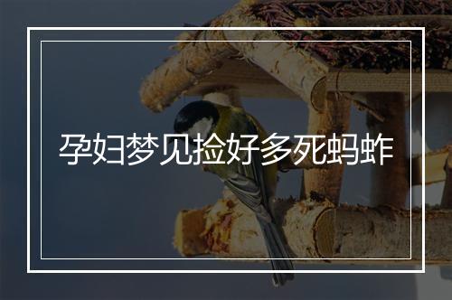 孕妇梦见捡好多死蚂蚱