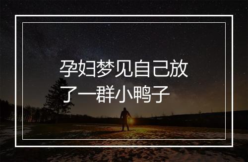 孕妇梦见自己放了一群小鸭子