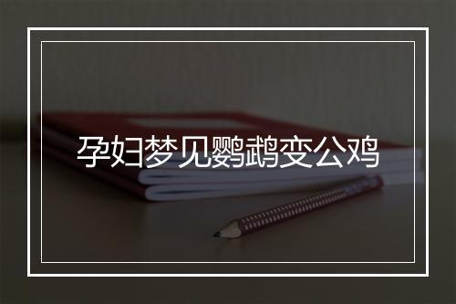 孕妇梦见鹦鹉变公鸡