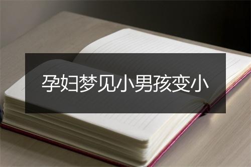 孕妇梦见小男孩变小