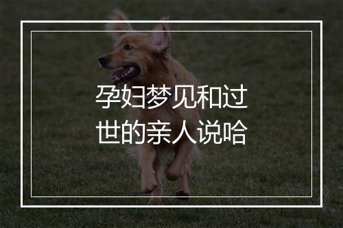 孕妇梦见和过世的亲人说哈