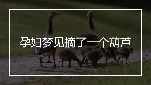 孕妇梦见摘了一个葫芦