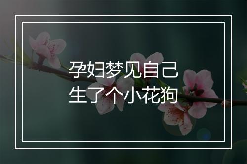 孕妇梦见自己生了个小花狗