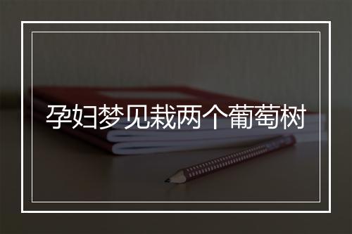 孕妇梦见栽两个葡萄树