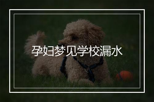 孕妇梦见学校漏水