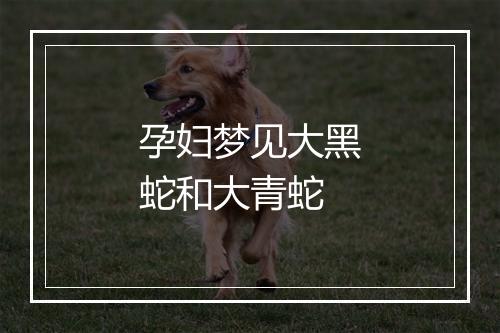 孕妇梦见大黑蛇和大青蛇