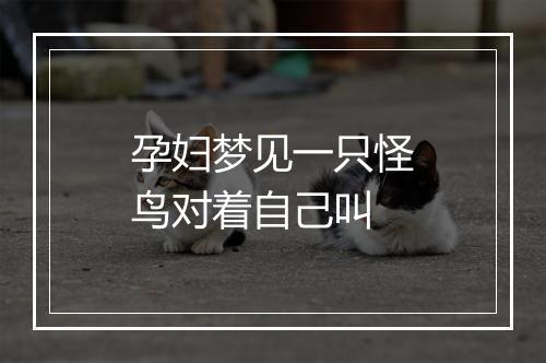 孕妇梦见一只怪鸟对着自己叫