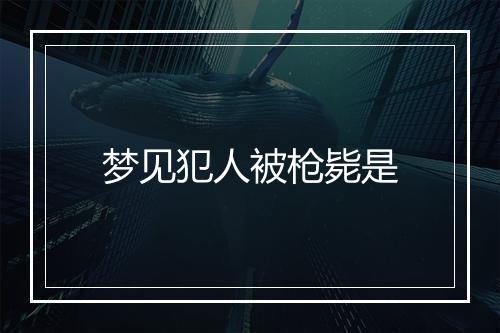 梦见犯人被枪毙是