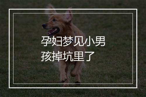 孕妇梦见小男孩掉坑里了