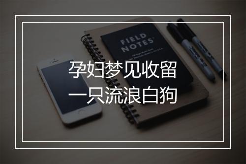 孕妇梦见收留一只流浪白狗