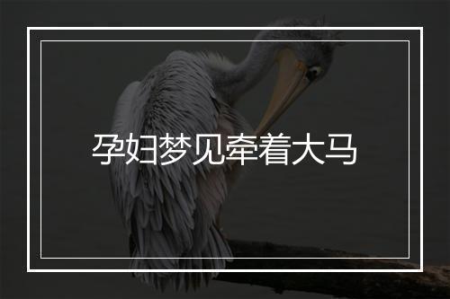 孕妇梦见牵着大马