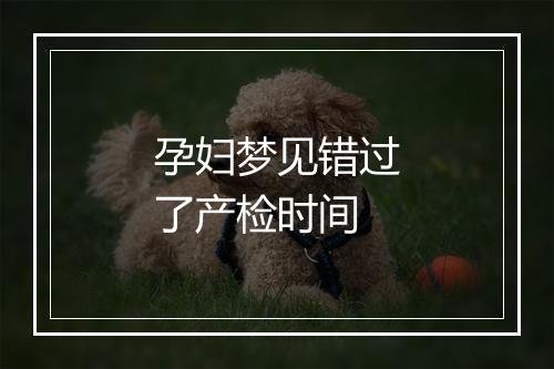 孕妇梦见错过了产检时间