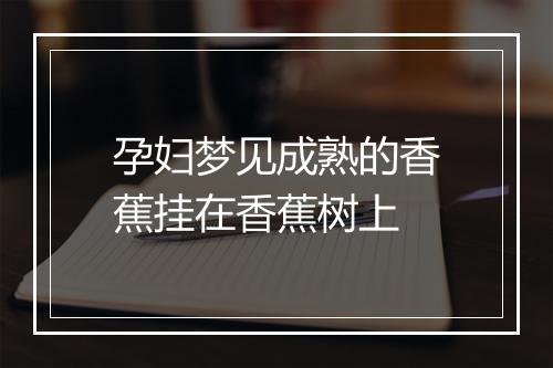 孕妇梦见成熟的香蕉挂在香蕉树上