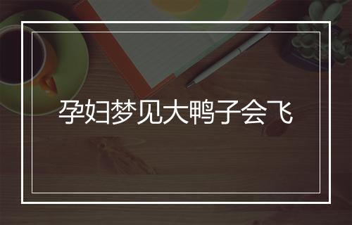 孕妇梦见大鸭子会飞