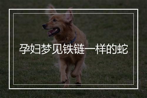 孕妇梦见铁链一样的蛇