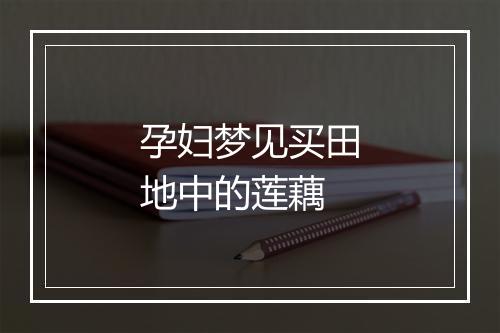 孕妇梦见买田地中的莲藕