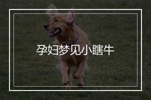 孕妇梦见小瞎牛