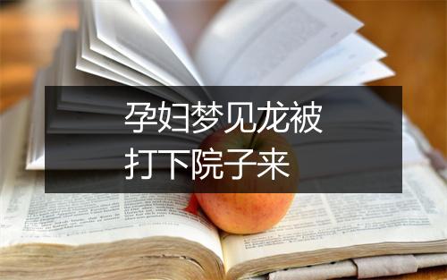 孕妇梦见龙被打下院子来