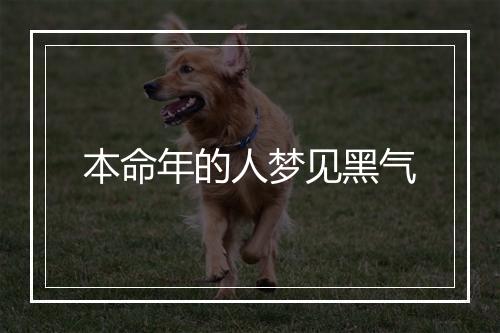 本命年的人梦见黑气