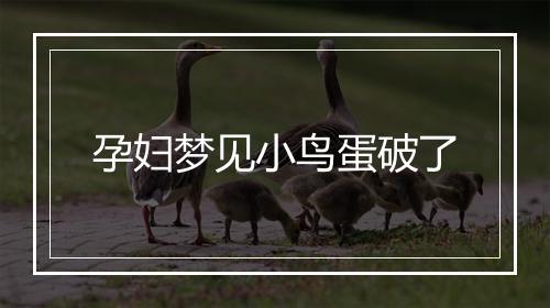 孕妇梦见小鸟蛋破了