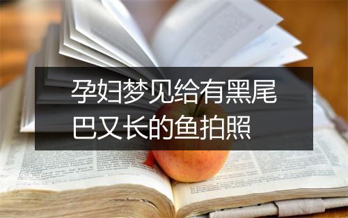 孕妇梦见给有黑尾巴又长的鱼拍照