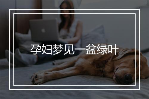 孕妇梦见一盆绿叶