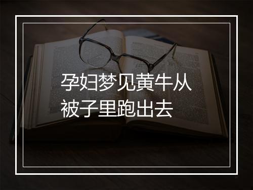 孕妇梦见黄牛从被子里跑出去