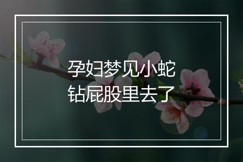 孕妇梦见小蛇钻屁股里去了