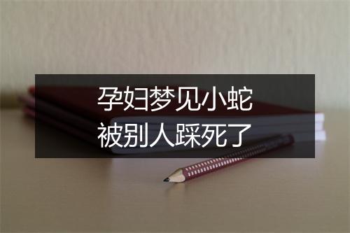 孕妇梦见小蛇被别人踩死了