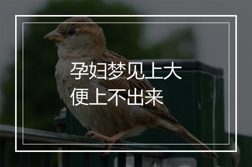 孕妇梦见上大便上不出来