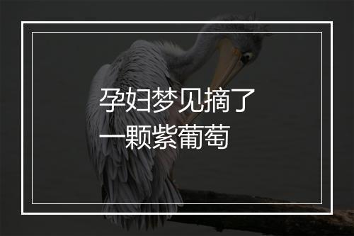 孕妇梦见摘了一颗紫葡萄