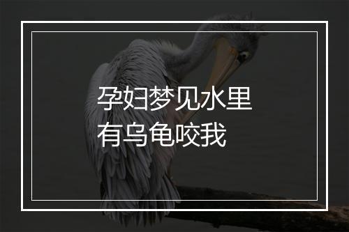 孕妇梦见水里有乌龟咬我