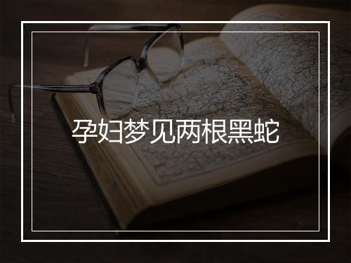 孕妇梦见两根黑蛇