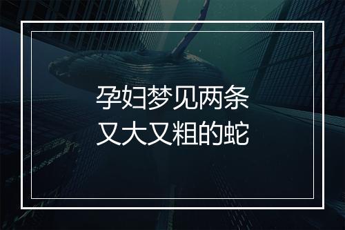 孕妇梦见两条又大又粗的蛇