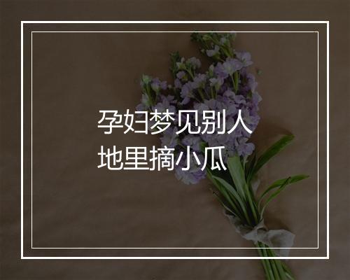 孕妇梦见别人地里摘小瓜