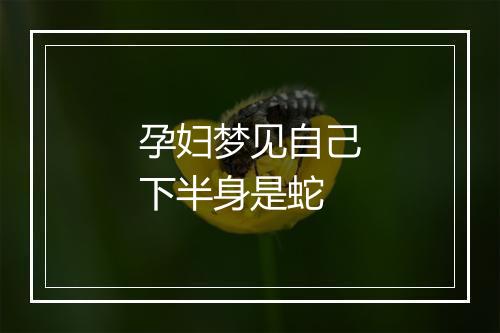 孕妇梦见自己下半身是蛇