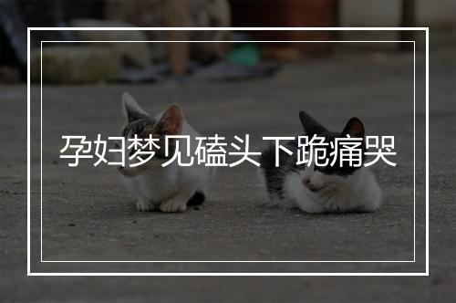 孕妇梦见磕头下跪痛哭