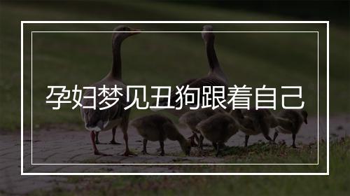 孕妇梦见丑狗跟着自己