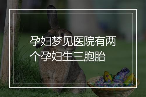 孕妇梦见医院有两个孕妇生三胞胎