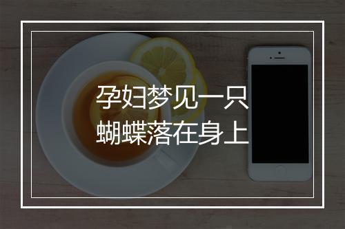 孕妇梦见一只蝴蝶落在身上