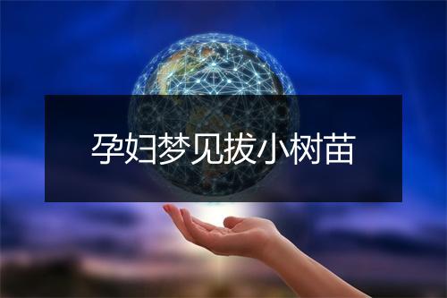 孕妇梦见拔小树苗