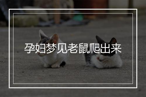 孕妇梦见老鼠爬出来