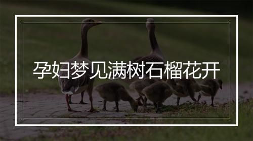 孕妇梦见满树石榴花开