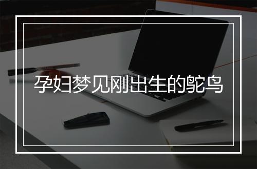 孕妇梦见刚出生的鸵鸟