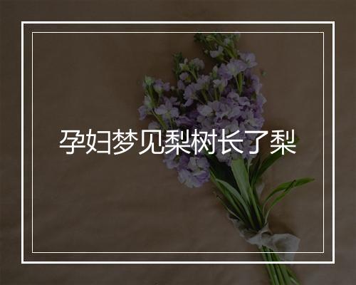 孕妇梦见梨树长了梨