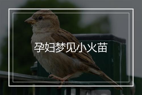 孕妇梦见小火苗