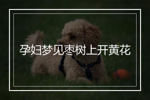 孕妇梦见枣树上开黄花