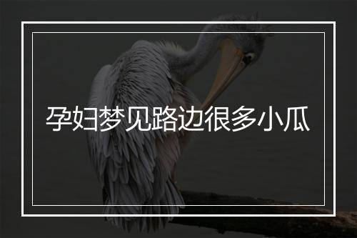 孕妇梦见路边很多小瓜